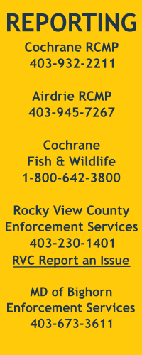 Click here to notify Rocky View County about bylaw infractions, lost animals, unsightly premises, traffic-related concerns, or other issues related to bylaw enforcement.